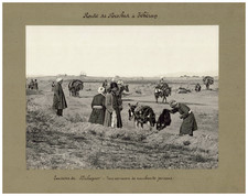 Persia, Surroundings of Nichapoor, A Caravan of Persian Merchants Vintage Album