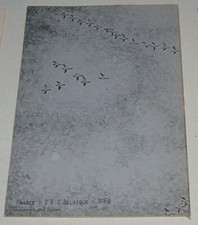 LA HULOTTE N° 24 - LA PETITE