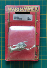 Warhammer  Old world :   servante de la dame sorcière Bretonnienne / Bretonnia