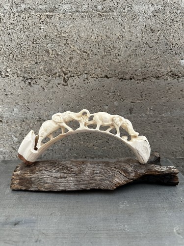 Dent phacochere sculptée - dent,