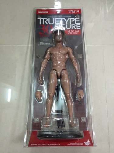 Hot toys ttm - hot, true