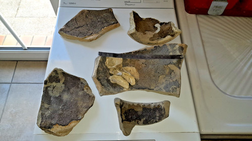 Fragments amphore romaine - fragments,