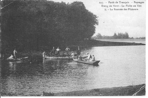 Foret troncais etang - foret, de