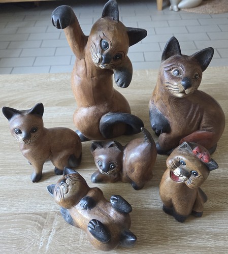 Superbe lot 6 - lot, chats