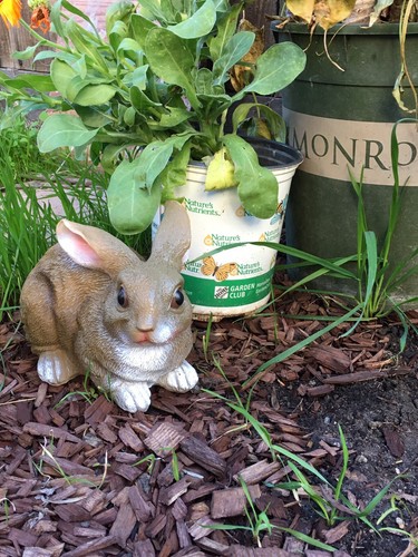 Rabbit life like figurine - like,