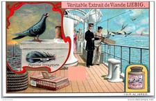 Liebig - Les pigeons voyages