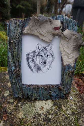 Mo0339 superbe cadre - mo0339, loup