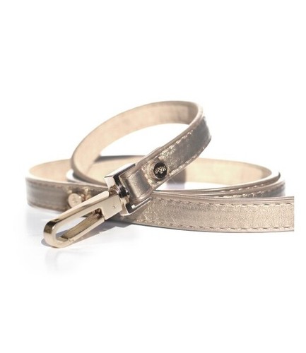 Laisse shine gold pour - shine,