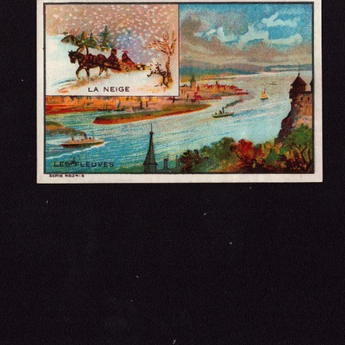 Poix chromo chicoree - (59),