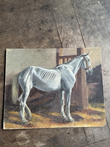 étude cheval peinture - cheval,