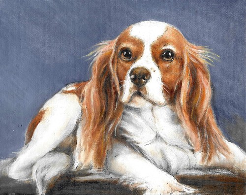 Original oil dog portrait - ❦,