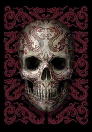 Anne stokes poster tissu - stokes,