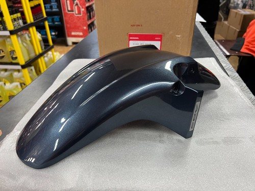 Honda cbf600 front fender - cbf600,
