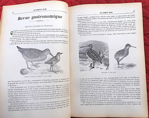 Cuisine gastronomie cordon - gastronomie,