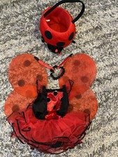 Princess Couture Lady Bug