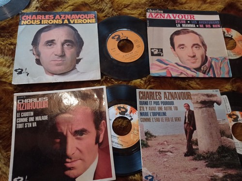 Lot vinyles 45t - lot,