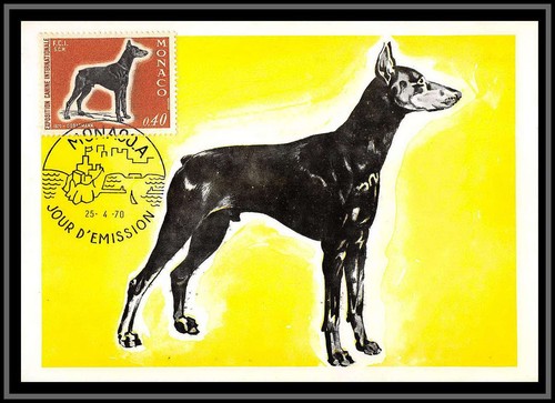 49016 816 doberman chien - n°816,