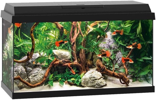 Juwel aquarium set primo - aquarium,