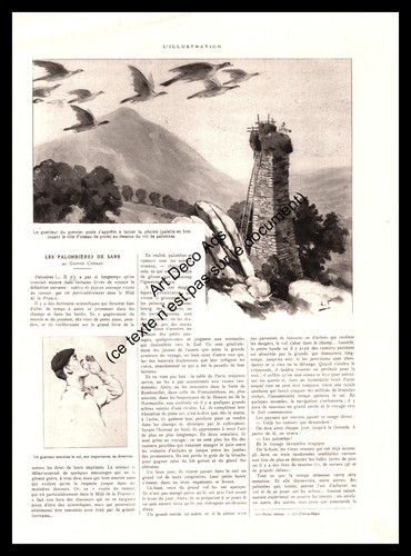 1926 les palombières sare - de,