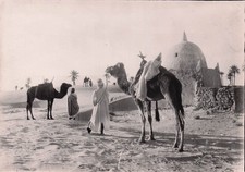 ALGIERS SAHARAN COLLECTION L STAGE AU MARABOUT