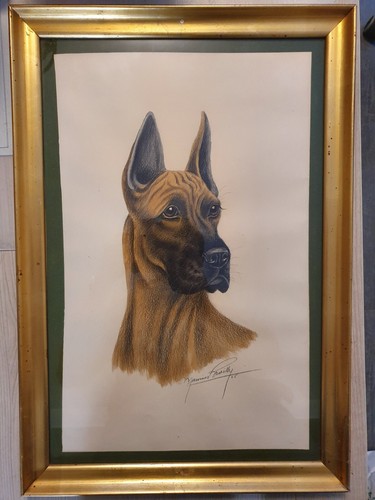 Maurice brailly dessin chien - brailly,