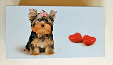 Boite métal chiot Yorkshire by Massilly, neuve 🔔