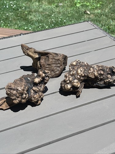 Natural burl wood - pc, knot