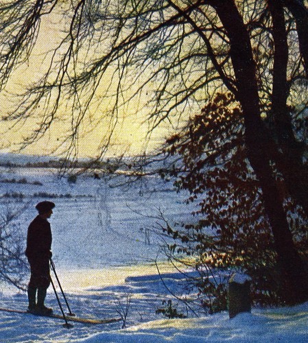 Winter swabian jura - winter, in