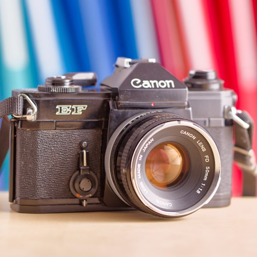 Canon 50mm f - +, f/1.8