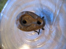 LAMPE A HUILE PRE ROMAINE II