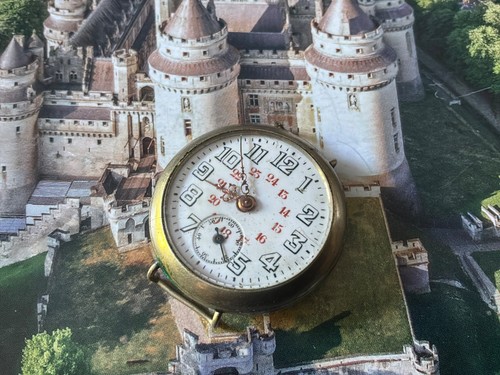 Montre militaire poilu en - de,