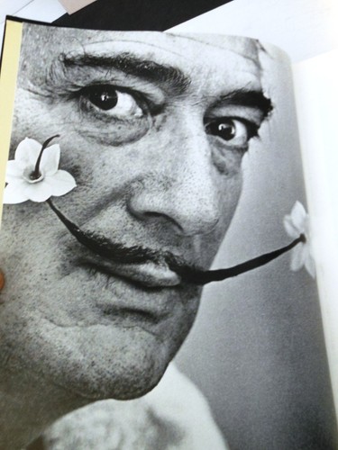 Dali salvador catalogue - dali,