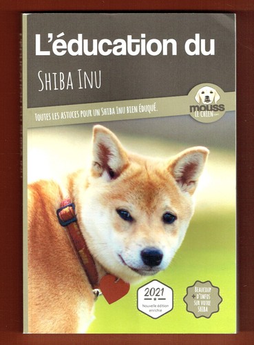 éducation shiba inu - l'éducation,