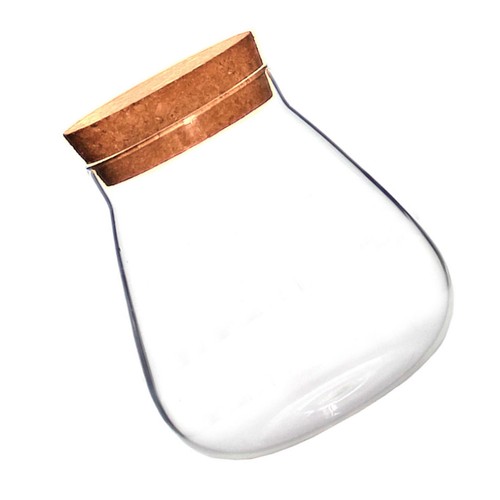 Terrarium pour boule mousse - terrarium,