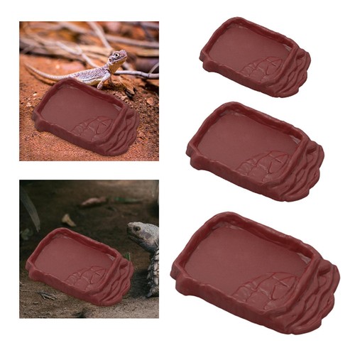Reptile ramp food bol - reptile,