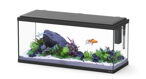 Vente plusieurs aquarium de - de,
