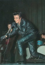 VINCE TAYLOR 1960s VINTAGE POSTCARD ORIGINAL POSTCARD