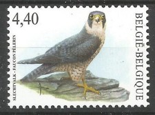 Belgique**FAUCON