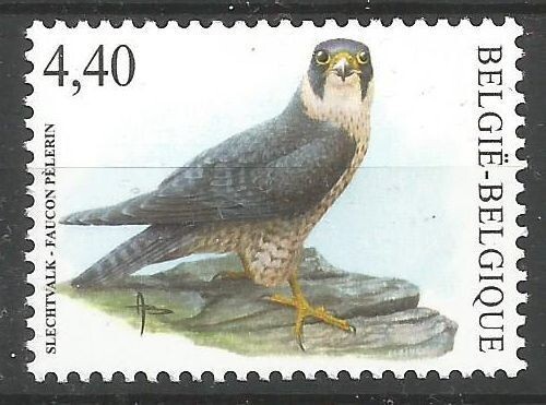 Belgique**FAUCON