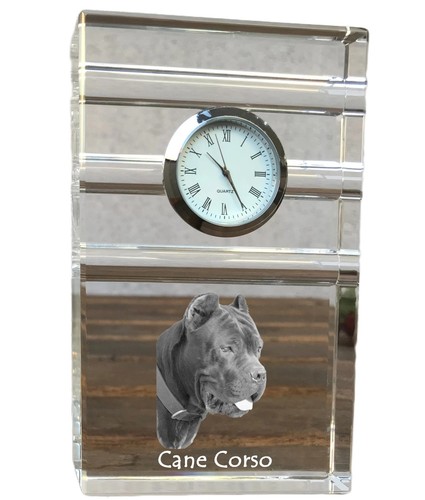 Cane corso italienischer - cane,