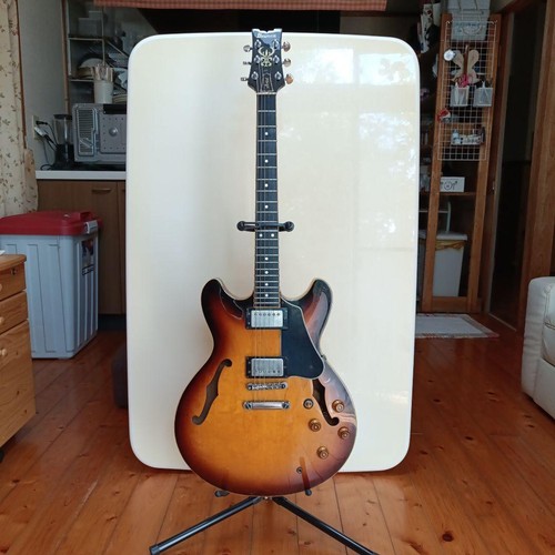 Guitare semi creuse - guitare, ibanez