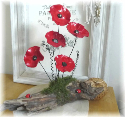 Bouquet coquelicots sur - coquelicots,
