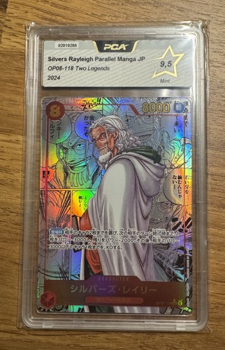 One piece silvers - piece,