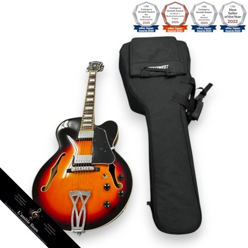 Guitare électrique ibanez - électrique,