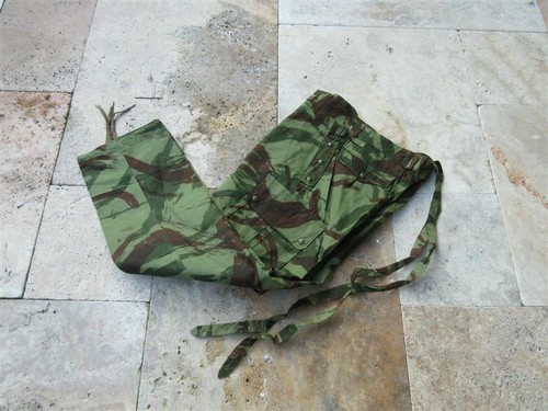 Français legion para lézard - français,