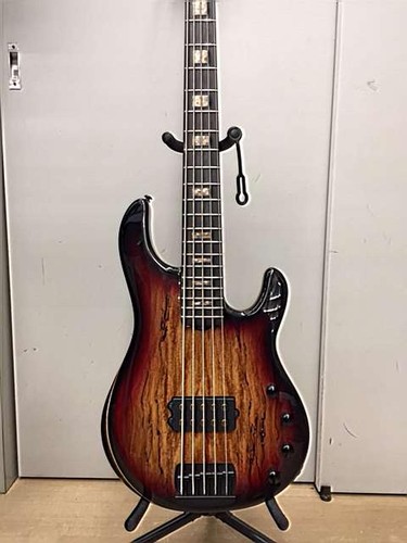 Musicman electric bass - electric,