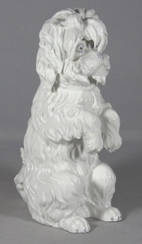 Chien bichon frisé statuette - frisé,,