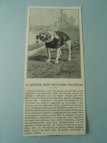 Dernière mode pour chiens - dernière,