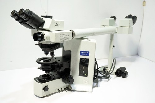 Microscope olympus bx51tf - olympus,