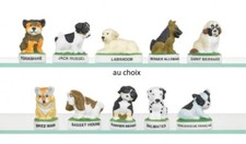 2016 LES CHIOTS CHIEN FEVE